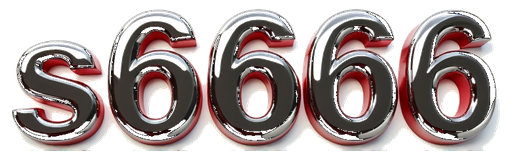 s66666 logo